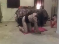 Animal sex video of dog fucking a lady's dirty holes